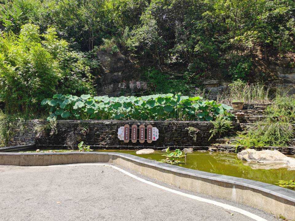 上善若水池1.jpg