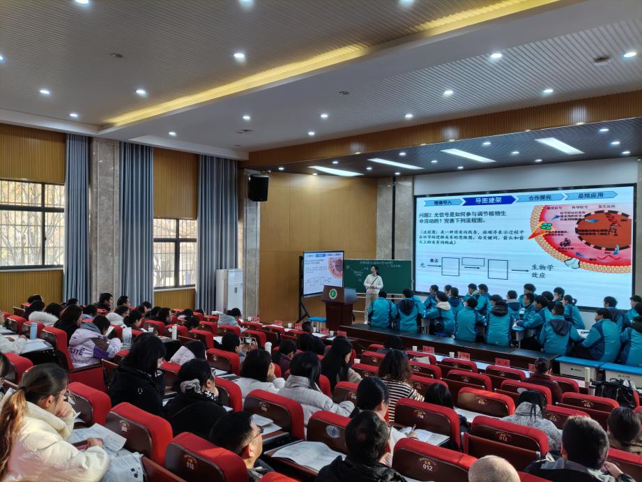 1764921397422254.jpg 1764921397422254.jpg